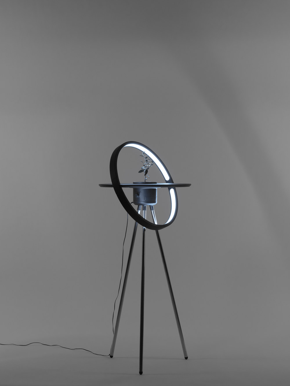 Equinox, view 2
